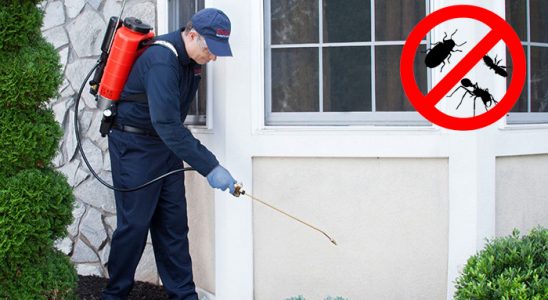 Aralık Böcek İlaçlama böcek ilaçlama ve haşere kontrolü — ilaclama-tr.com